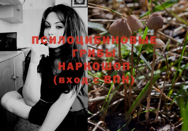 эйфоретик Балахна