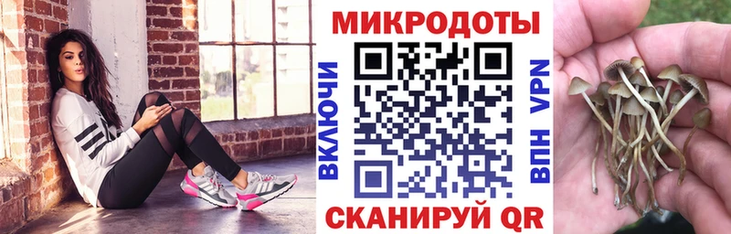 Псилоцибиновые грибы Cubensis  Тимашёвск 